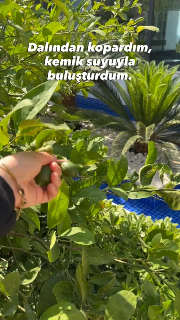 Yeşil limonun ferahlığı, buzun serinliği, sodanın hafifliği ve kemik suyunun yoğ...